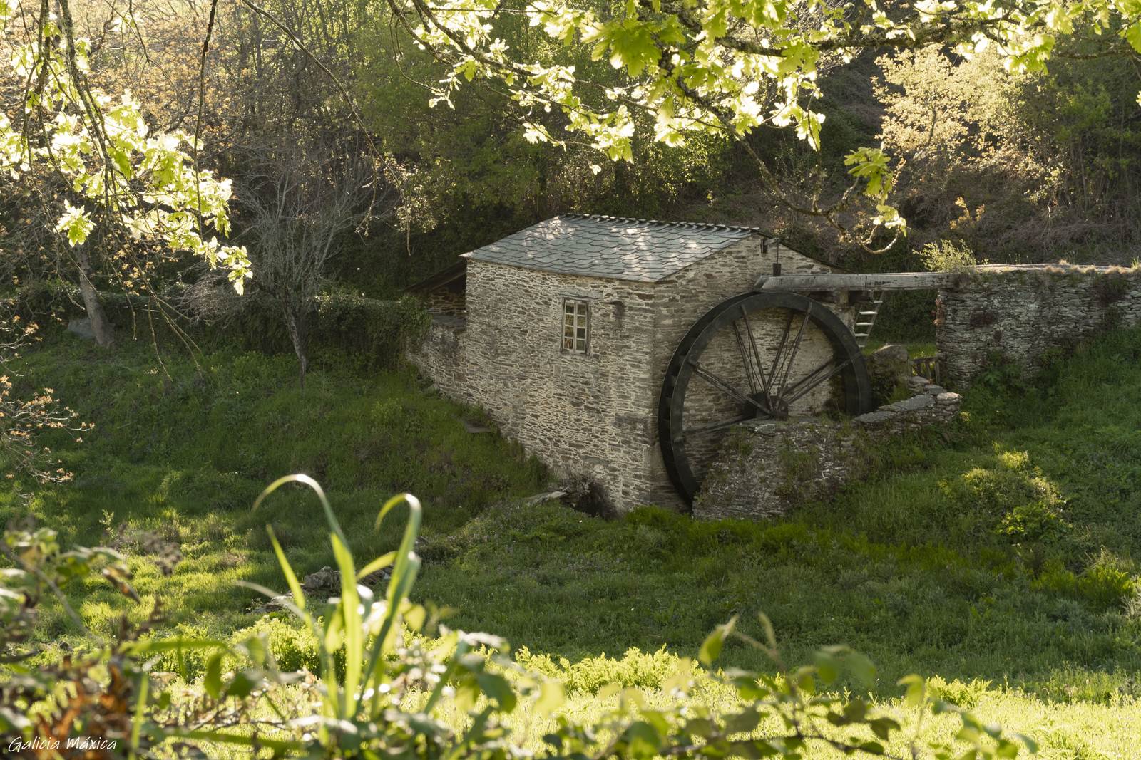 Galician water mill.