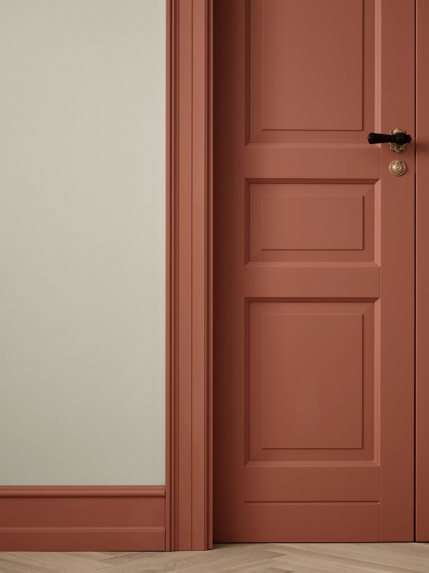 dark coral accent door
