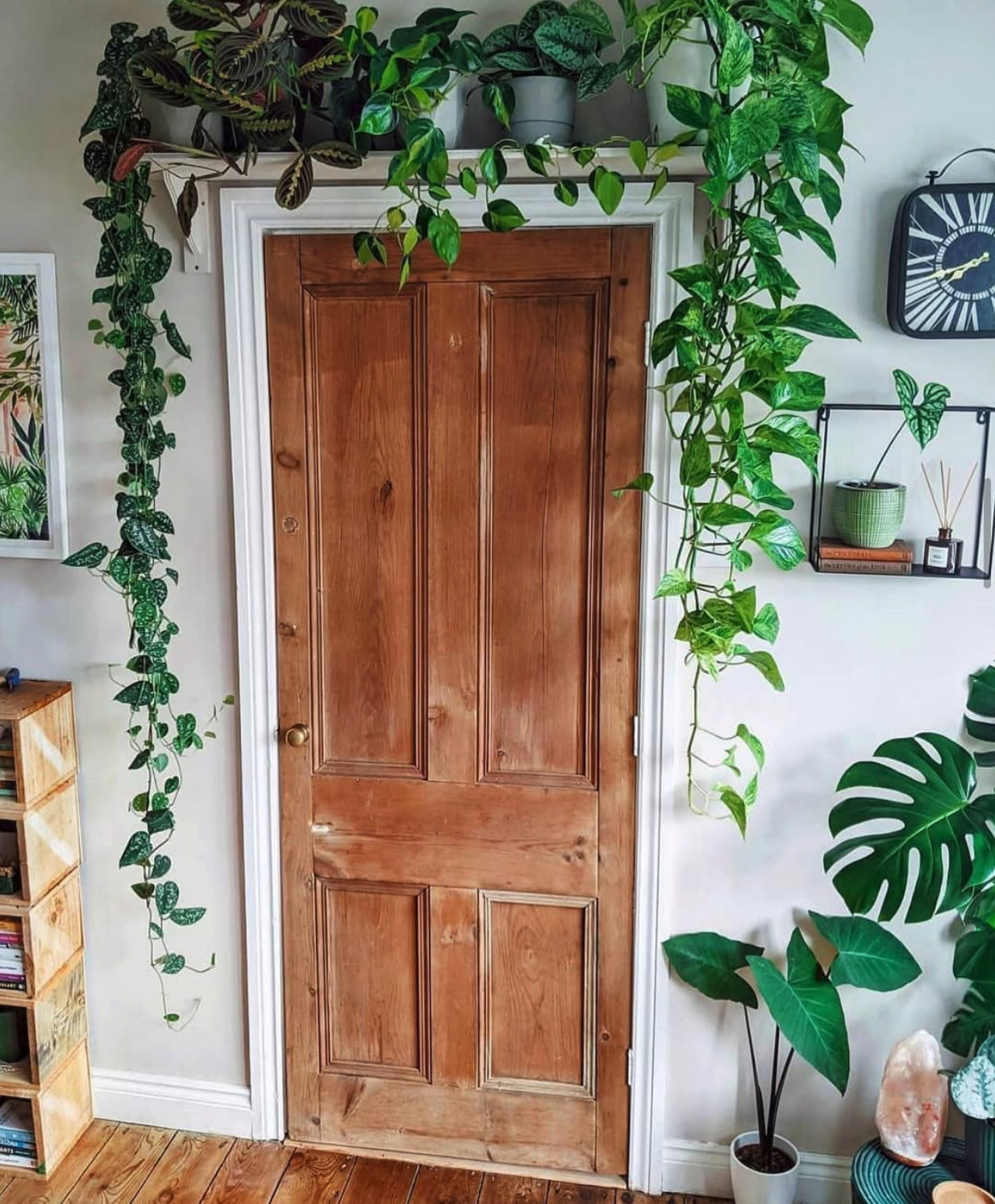 Pothos styled beautifully on an over-door shelf